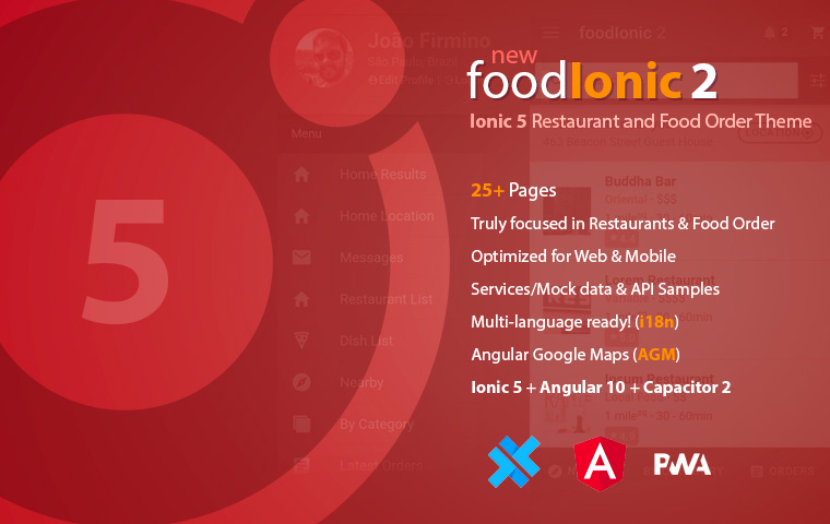 ionic-5-nulled