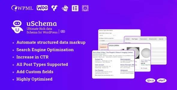 wp-schema-pro-v170-nulled